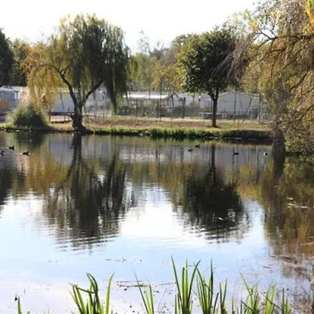 Kemping Mobil 32m² Avec Terrasse Pour 6 Personnes - Api-1-52-304